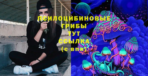 бошки Верхний Тагил